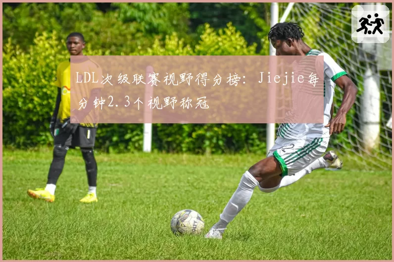 LDL次级联赛视野得分榜：Jiejie每分钟2.3个视野称冠