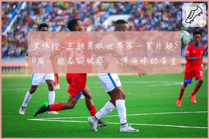 梁伟铿_王昶男双世界第一累计超50周，能否突破蔡赟_傅海峰的黄金组合纪录？