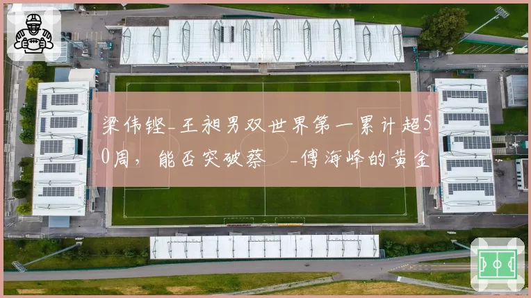 梁伟铿_王昶男双世界第一累计超50周，能否突破蔡赟_傅海峰的黄金组合纪录？