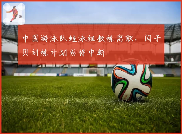 中国游泳队蛙泳组教练离职，闫子贝训练计划或将中断